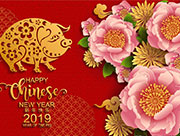 广东欧迪斯家具给大家拜年啦